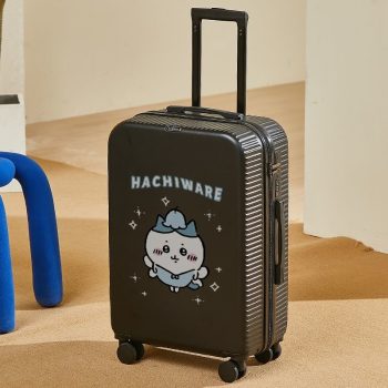 G0586Cute suitcase