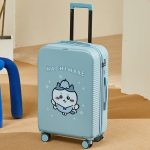 G0604Cute suitcase