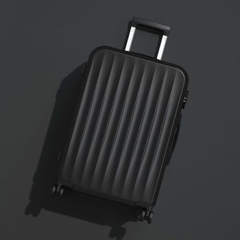 G0600Cute suitcase