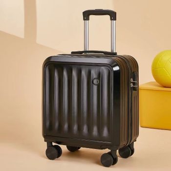 G0655Small suitcase