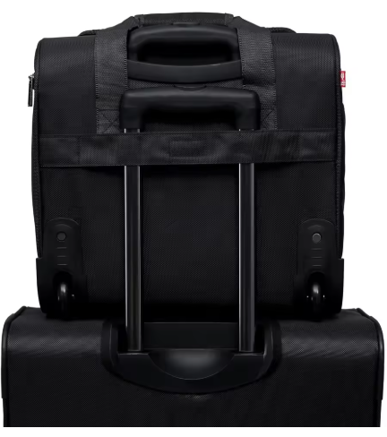 PixPin_2025-06-18_01-10-51