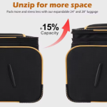 PixPin_2025-06-18_01-29-21