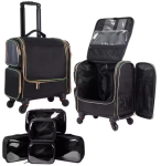 PixPin_2025-06-18_03-10-10