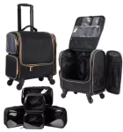 PixPin_2025-06-18_03-10-10