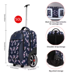 PixPin_2025-06-18_03-34-10