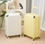 PixPin_2025-06-18_04-35-11