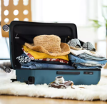 PixPin_2025-06-18_04-59-52