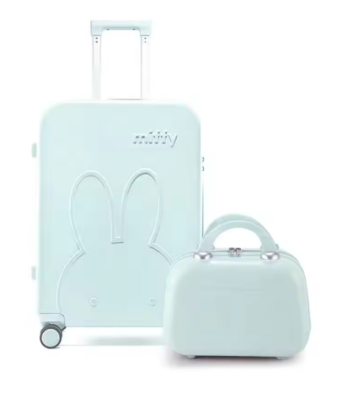 G00850High-value suitcase