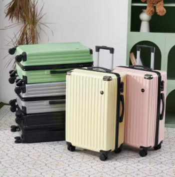 zx089-25 inch suitcase