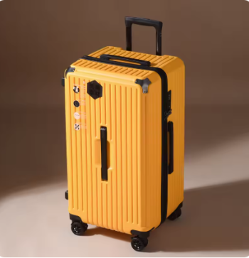 zx087-25 inch suitcase