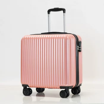 Y1001Personalized customized luggage