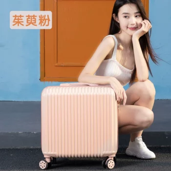 Y1004Personalized customized luggage