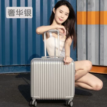 Y1005Personalized customized luggage