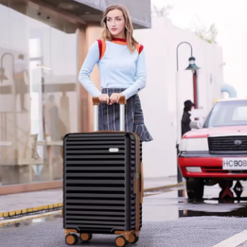 zx044-13 inch suitcase